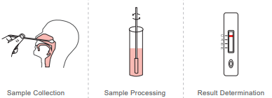 圖片9.png 圖片9.png