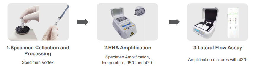 圖片29.png 圖片29.png